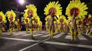 Comparsas Ritmo y Armonía · Carnaval 2014 · Santa Cruz de Tenerife [upl. by Gytle]