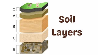 Soil Horizons Explained [upl. by Laina]