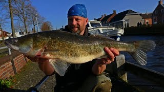 Matze Koch Freilaufendeäh Zander  Teil 2  Matzes Mätzchen 022020 [upl. by Annaeirb]