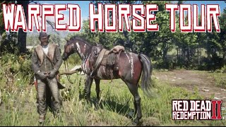 How to Get the Warped Brindle Arabian For Arthur in PS4 Red Dead Redemption 2 [upl. by Aynwat]