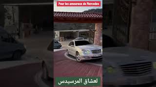 Polisario immatriculation Sh sahraoui mercedes souk tindouf Algérie maghreb maroc souk siyara dz [upl. by Cul]