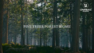 Pine Trees Forest Biome  Unreal Engine 54  PCG With Nanite Pine Trees amp Lumen [upl. by Nylahs]