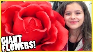 GIANT FLOWERS AND HUNTING FOR MONSTER HIGH HONEY SWAMP  KITTIESMAMA [upl. by Farika]