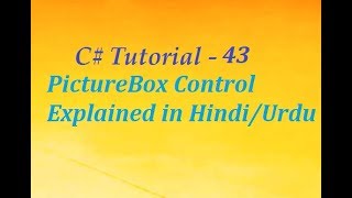 PictureBox in C Explained in Hindi [upl. by Naujahs686]