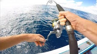 Get Wrecked Offshore Tuna Kingfish and Amberjack Fishing [upl. by Lak]