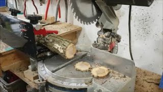 Cutting Log Cookies On a Miter Saw With The Little Ripper Works Great EthAnswers [upl. by Mlehliw853]