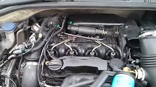 Citroen C3 HDi running on gas [upl. by Bryan]