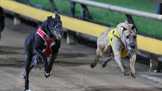 2024 Sportsbet Bendigo Cup Heat 5  Boracay Storm [upl. by Orimlede]