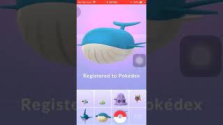 Evolve Wailord from Wailmer with IV 100  Pokemon Go [upl. by Danyluk]