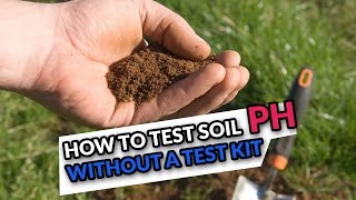 How to Test Soil pH without a Test Kit [upl. by Bond765]