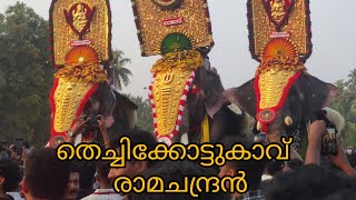 Parkkadi pooram പാർക്കടിപൂരം 2024 ഗജ രാജഭീമന്മാർ പങ്കെടുക്കുന്ന പൂരം [upl. by Dardani]