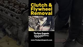 Clutch amp Flywheel bmw e36 engineswap enginebuild projectcar mechanic car cars shorts short [upl. by Ahsenauj]