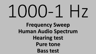 10001 Hz Frequency Sweep Human Audio Spectrum Hearing test Bass test Pure tone [upl. by Newnorb515]