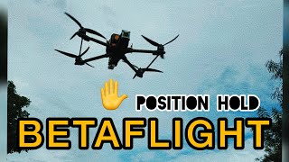 BETAFLIGHT 46 ALTITUDE HOLD  POSITION HOLD DEMO DAN CARA INSTAL [upl. by Gault]