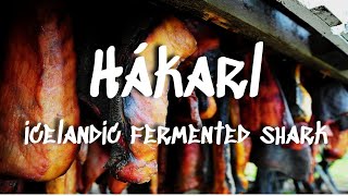 Hákarl  Icelands National Dish of Fermented Shark [upl. by Odlabso]