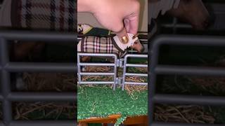 Schleich fall setup part 1 schleichshort [upl. by Nniuq]