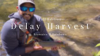 1st Delay Harvest  Brownies amp Bows [upl. by Caterina]