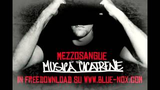 Mezzosangue  12  Incazzato Nero outro [upl. by Phaih]