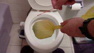 Unclog Toilet Without Plunger Quickly and Easily  The originator of the brush and bag method [upl. by Eirised]