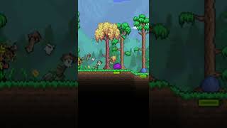 2 Noobs Playing With Terraria Ft Doncidoesgaming [upl. by Nairim602]