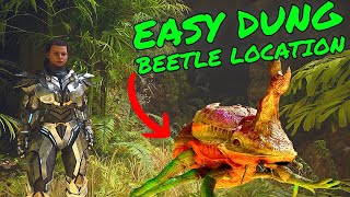 EASY DUNG BEETLE TAMING LOCATION on Ark Survival Ascended the ISLAND [upl. by Johnna]