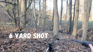 Maryland Gun Hunting  6 Yard Shot [upl. by Houston621]