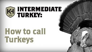 When and How to Call Turkeys Intermediate Turkey Calling Tutorial [upl. by Akenet]