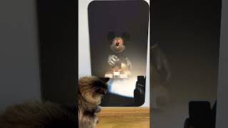 Cat reaction to 😱 mickey mouse s clubhouse 💀😲Skibidi Toilet Song shorts monster creepy scary [upl. by Noek]