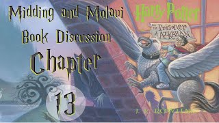 Harry Potter and the Prisoner of Azkaban  Chapter 13 Book Discussion [upl. by Otrebcire668]