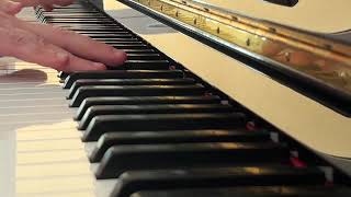 Home Flashmob  Beethoven Piano Sonata op26 1st mvt Variation 5 [upl. by Agnizn502]