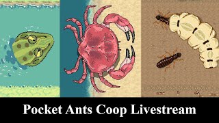 Pocket Ants Frog Coop Crab Coop Termite Coop 07242024 LIVESTREAM [upl. by Gayleen88]