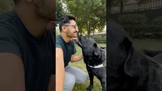 Lucky Ke Sath Outing doglover lucky [upl. by Cailean]