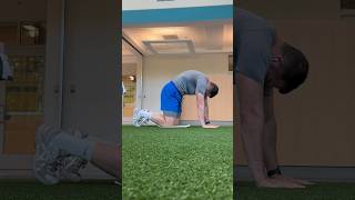 Quadruped Spinal Flexion Stretch [upl. by Marjie]