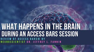 Review of Access Bars® by Neuroscientist Dr Jeffrey L Fannin [upl. by Acila919]