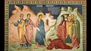 Sunday Homily  Seventh Sunday of Luke [upl. by Chemosh]