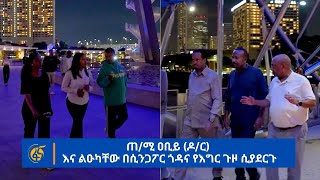 ጠሚ ዐቢይ ዶር እና ልዑካቸው በሲንጋፖር ጎዳና የእግር ጉዞ ሲያደርጉ [upl. by Jarib465]