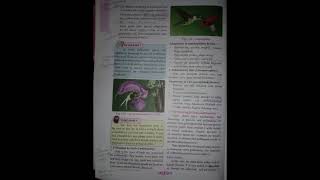 Class 12 reproduction in lower and higher plants  most important textbook notes shorts  class12 [upl. by Grimes]