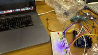 Multiple leds blink project [upl. by Oiromed]