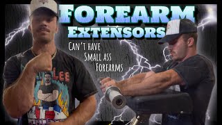 Don’t Neglect Your Forearm Extensors Very Important [upl. by Winn]