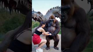 Gorilla good job funny comedyvideos cute funnyanimlas sorts ytshorts viralvideo [upl. by Nadeau810]