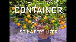 Proper Soil amp Fertilizer for CONTAINER Fruit Trees [upl. by Elsi]