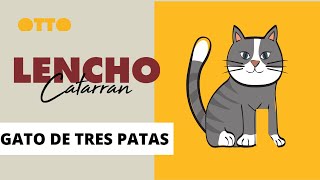 👉El Gato con Tres Patas🐱Lencho Catarran  CUENTOS COMPLETOS EN ESPAÑOL  por Otto de la Rocha [upl. by Cannell201]