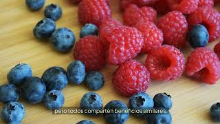 Frambuesas Beneficios Variedades y Recetas Deliciosas 🍓 ¡Descubre Todo sobre esta Fruta [upl. by Mendive444]