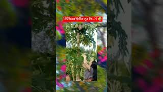 নিউটনের দ্বিতীয় সূত্র কি 🤣🤣 fannyvideo part2 [upl. by Odnesor565]