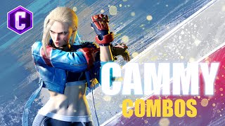 SF6  Cammy Combos [upl. by Enrique980]