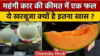 Yubari Melon क्यों है World Most Expensive fruits जानें क्या है कीमत  वनइंडिया हिंदी News [upl. by Seidule]