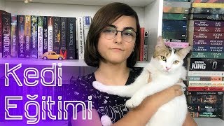 Kedi Eğitimi Kedim beni ısırıyor ne yapmalıyım [upl. by Yroj]