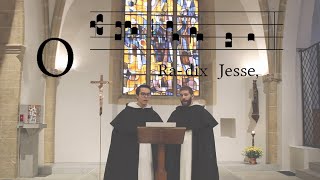 O Radix Jesse OP 19 Decembris [upl. by Aenehs]