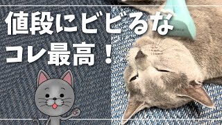 ファーミネーターにとろけるかわいい猫【ロシアンブルー】 [upl. by Awe]