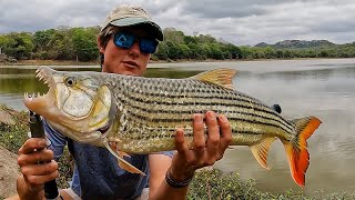 Back in Zimbabwe Catching Tiger Fish [upl. by Eniretak]